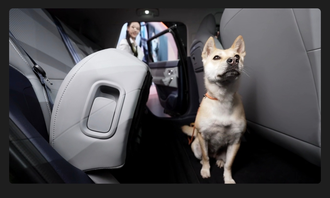 和陈都灵一起打开 A10 的不同用法，这辆车对于年轻人带宠物出去玩太方便，狗狗可