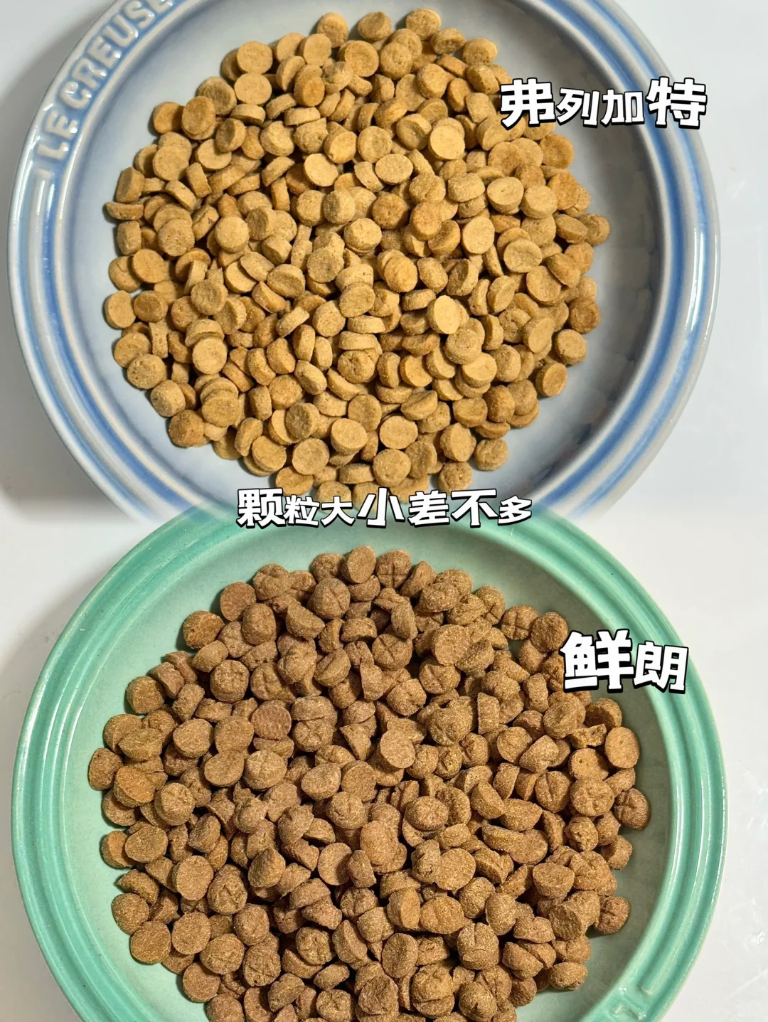国产烘焙粮你pick哪个🤓