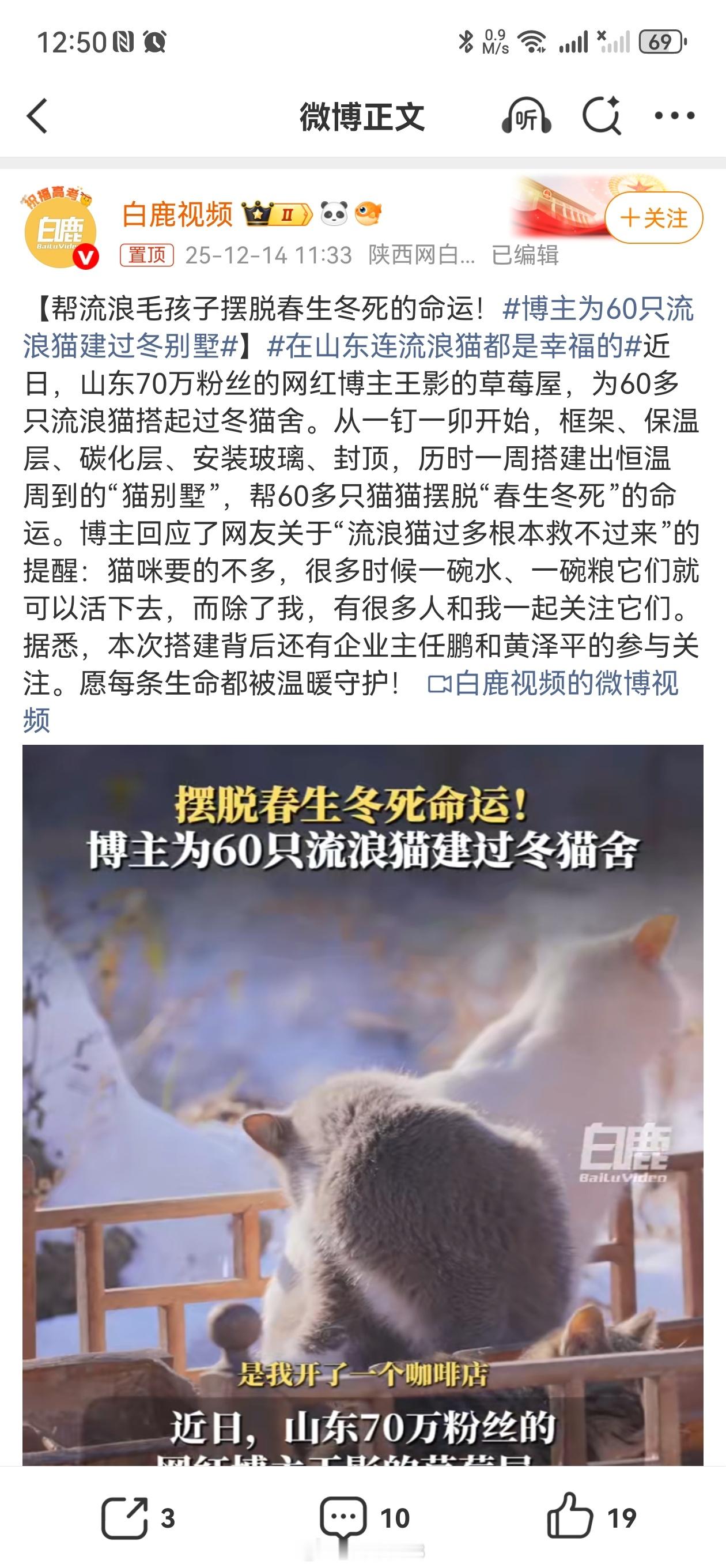 博主为60只流浪猫建过冬别墅山东最近下雪了吧，猫喜欢往车底下钻，又喜欢在出太阳时