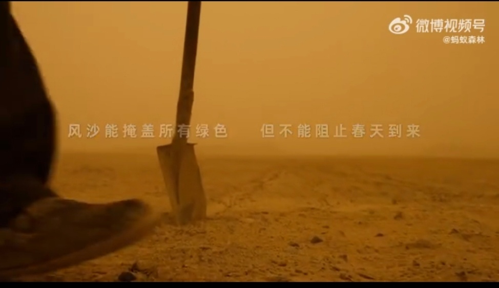 蚂蚁森林种下第6亿棵树 谁能想到，每天顺手收能量的小动作，竟然参与了6个亿的大项