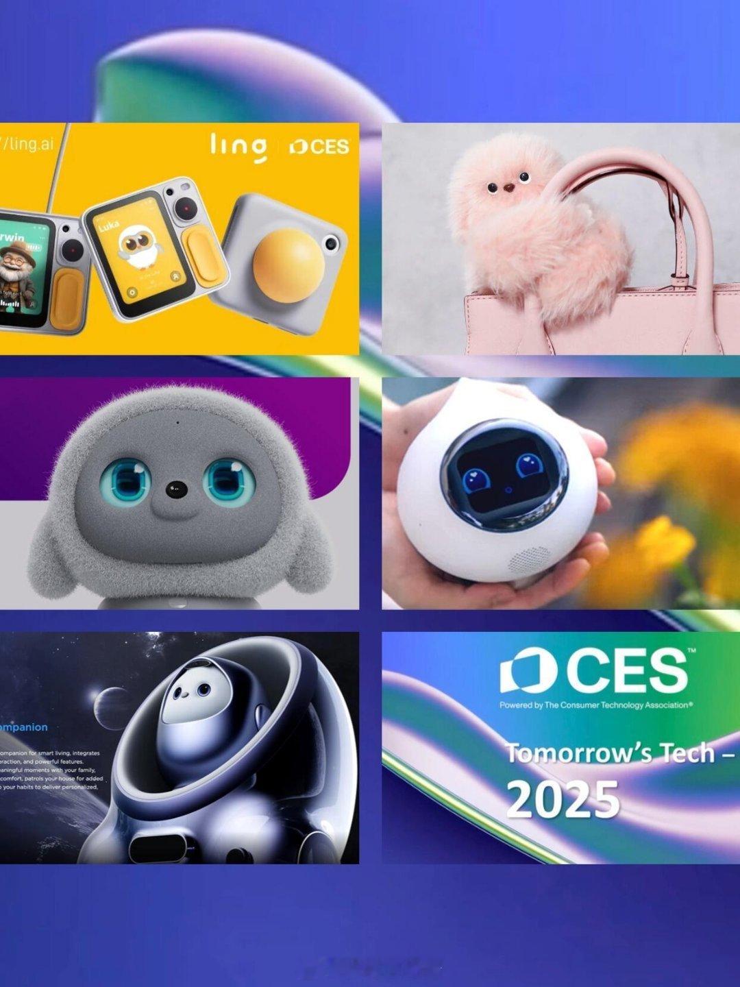 之前就聊过，2024年陪伴类AI产品已经成为一种趋势，而在CES 2025上，更