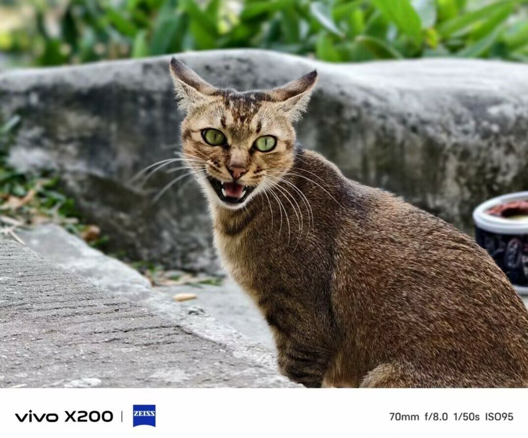 vivo[超话]  X200晒图大赛   我用vivo手机按下快门的精彩照片，就