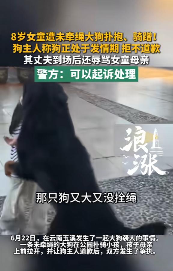 这是什么人啊！6月23日报道，云南玉溪，一女子带狗逛公园，狗的体型较大，还处在发