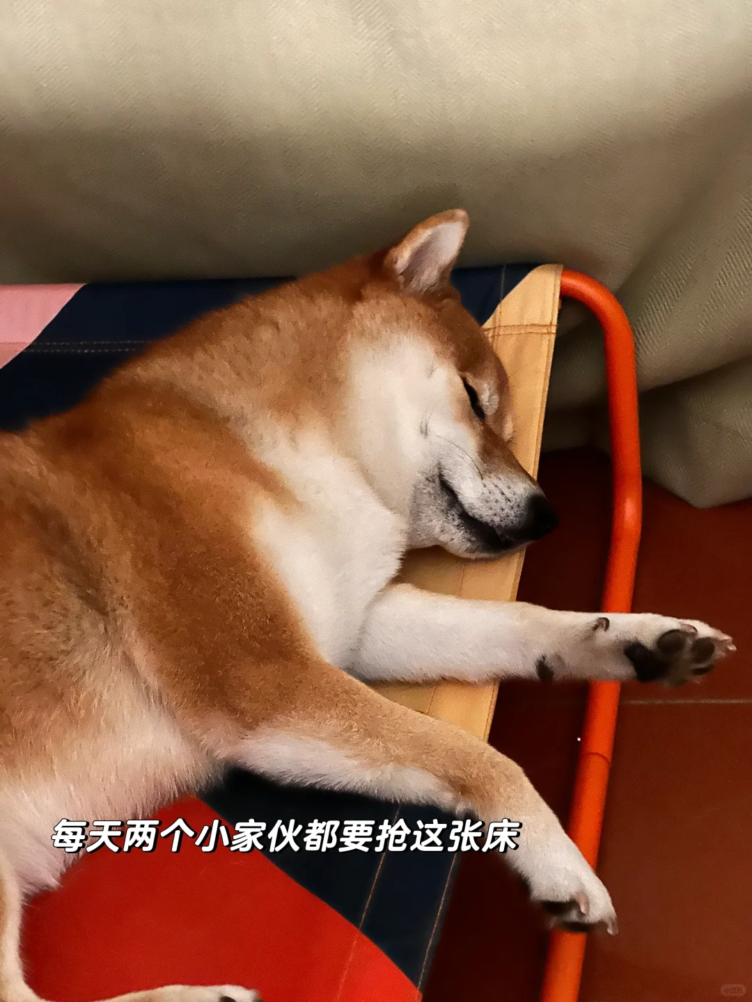 和小时候一模一样啊