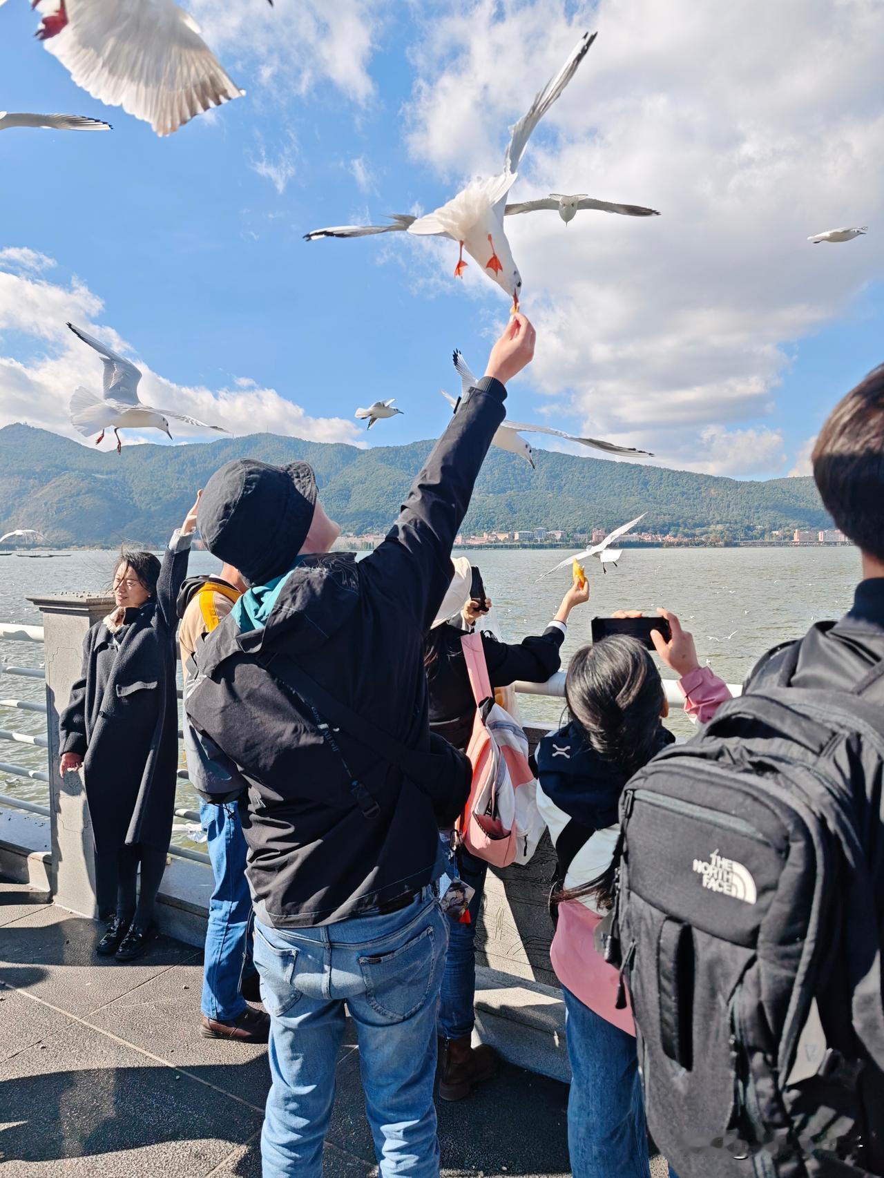 “舍南舍北皆春水，但见群鸥日日来。花径不曾缘客扫，蓬门今始为君开……”杜工部的这