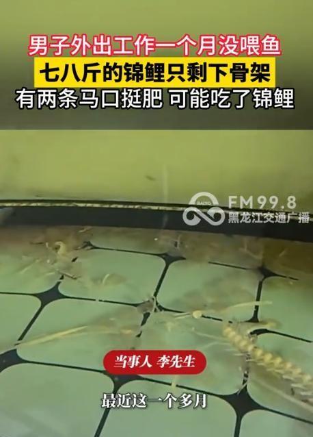 无妄之灾！7月5日荔枝新闻报道，山东临沂李先生出差一个月回家，猛然发现养了多年的