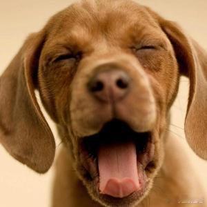 《噩耗！23岁女导演赖宇晴在柬埔寨坠亡，离世前被人带上楼聊天_坠楼_严重_友人》