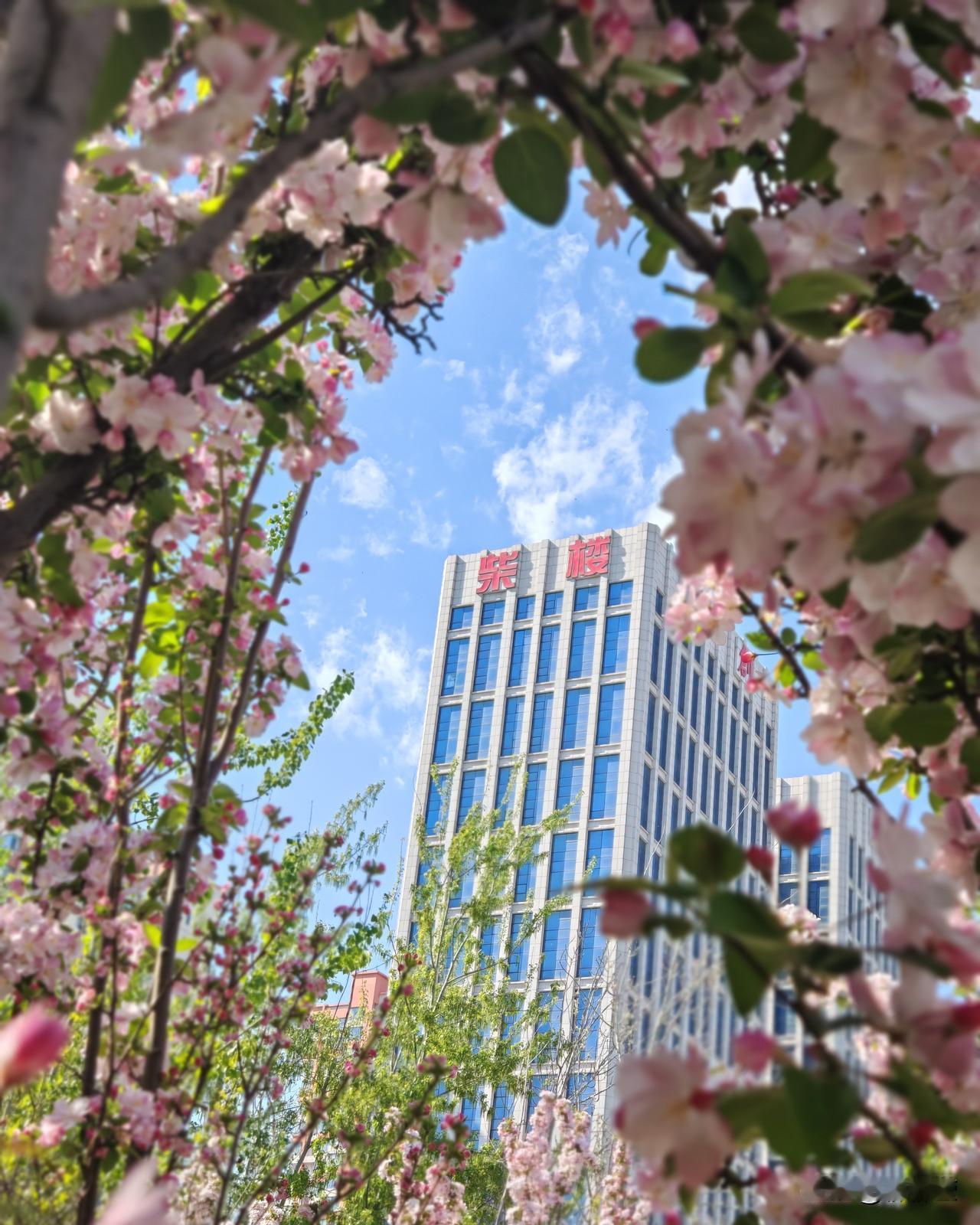 刚刚看到两句话
与君分享

男人两大遗憾：
有劲的时候，
财力没跟上；
有财力的
