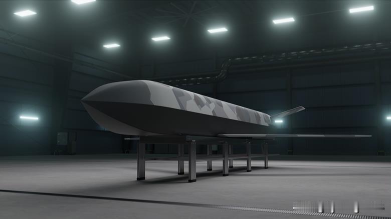 🇺🇸🦨🇬🇧 臭鼬工厂 (Skunk Works) 和 BAE 系统公司