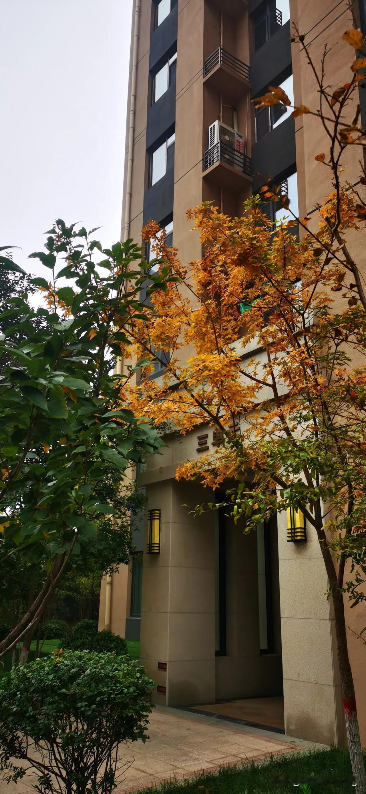 #晒出你随手一拍的风景图#不知不觉又一秋。
