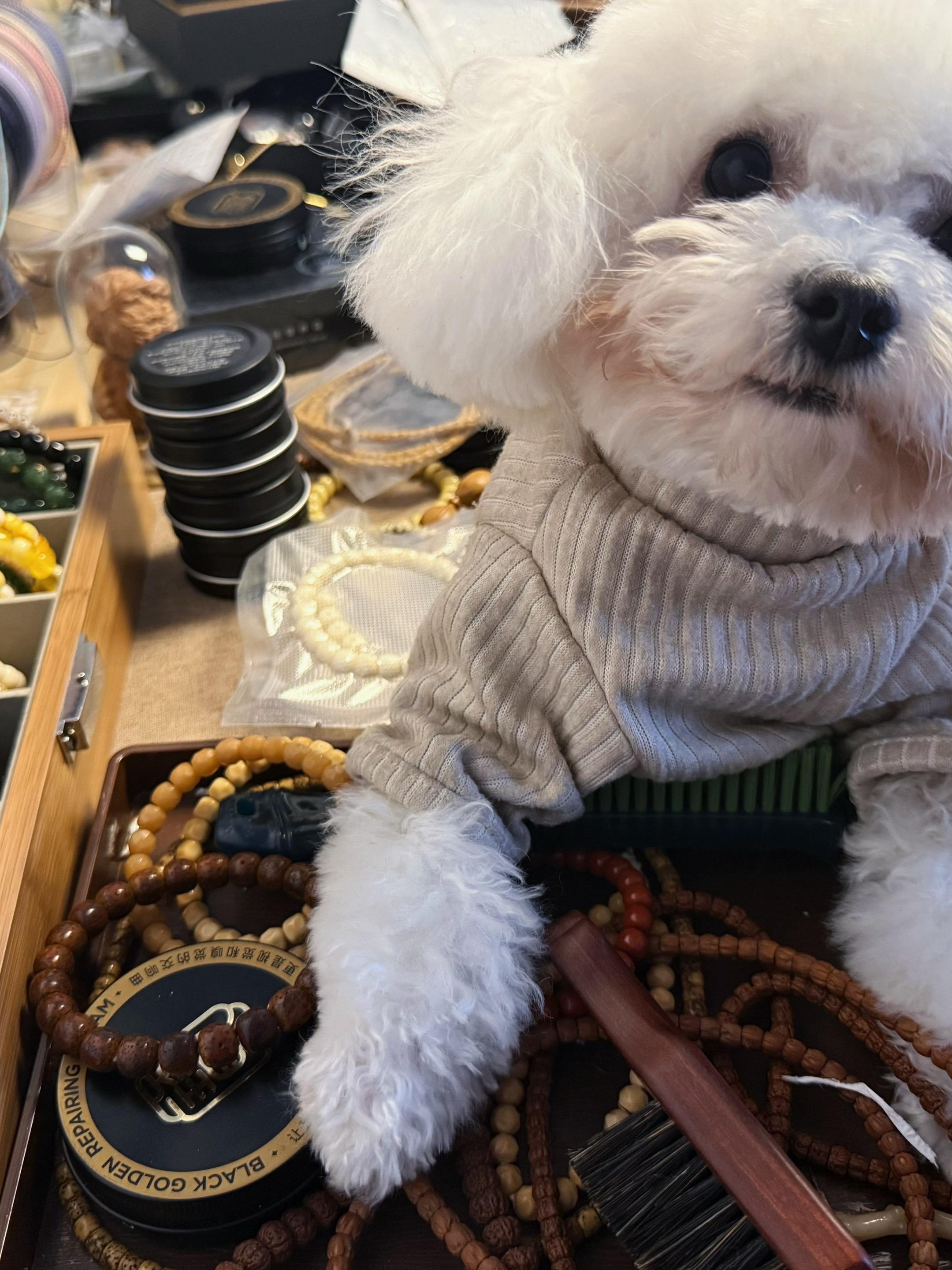 图片里已经包含了我所有的爱了。  给小狗也要准备新年新手串