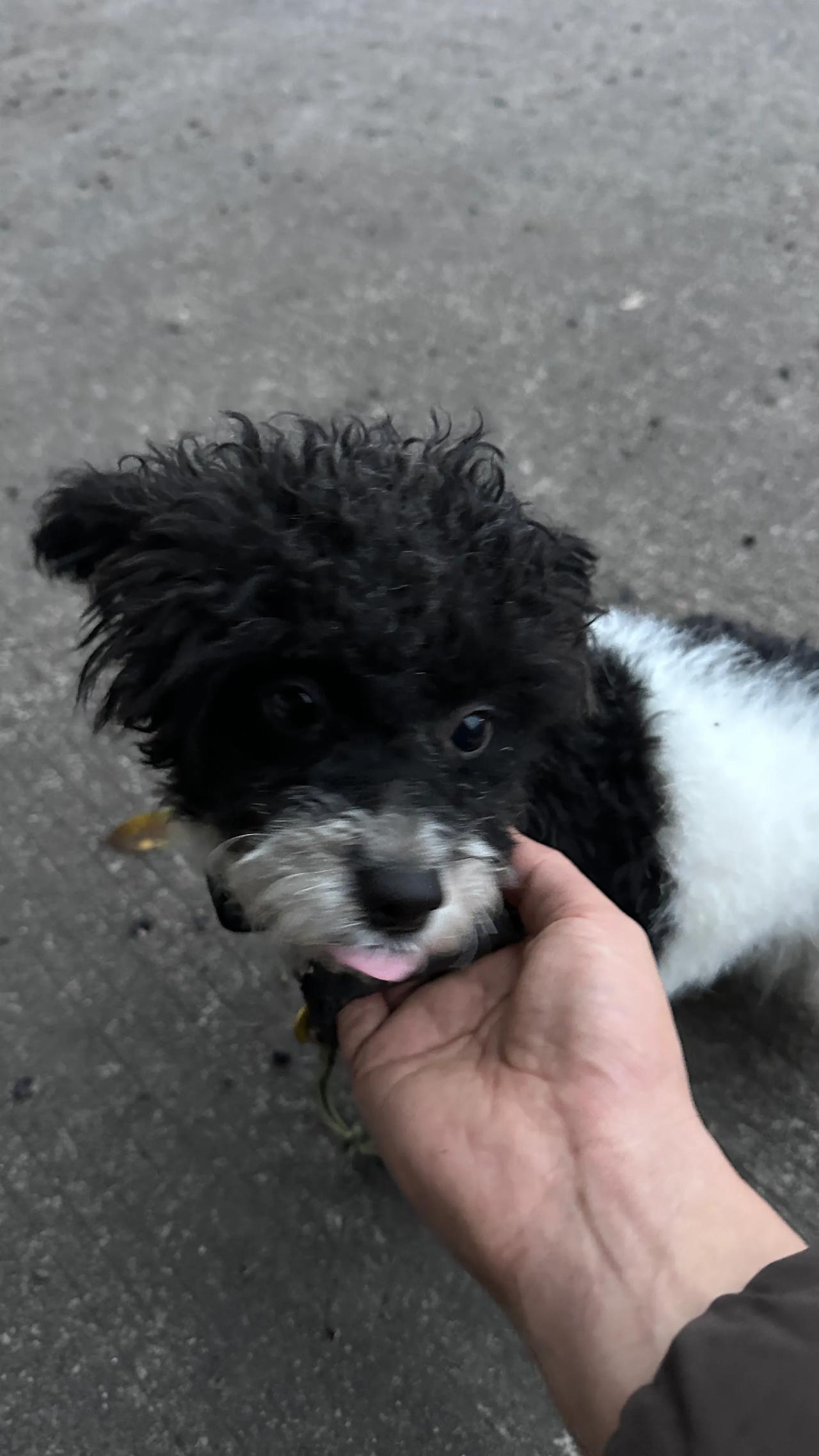 一会去参加个广播节目，人生第一次啊[允悲][允悲]说真的，有些紧张，撸一顿傻飞就