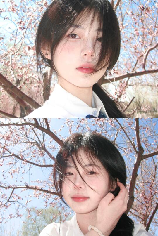 祈尔繁芜胜常春