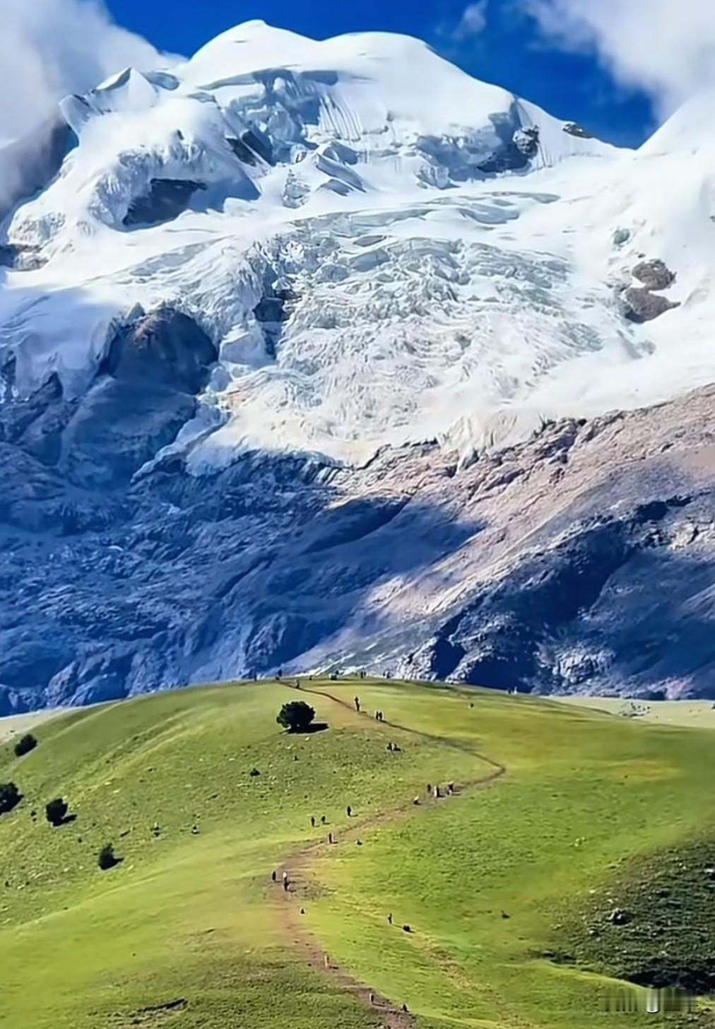 说起油价，不知道大家有没有看最近热搜上的那个新闻？

有官方媒体称:霍尔木兹海峡