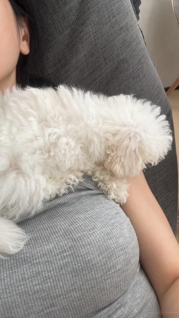 🐶