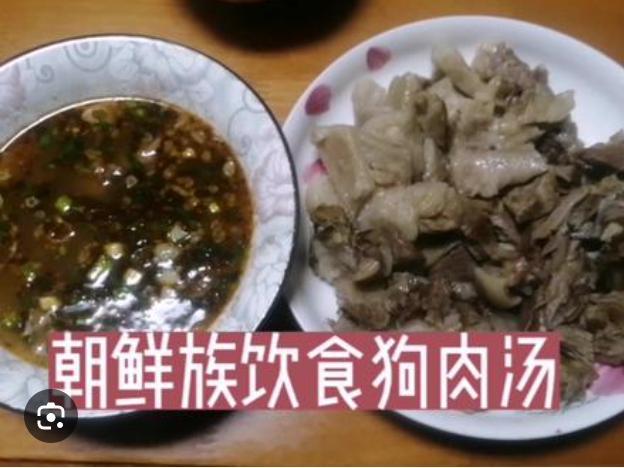 韩国狗肉馆迎来最后一批食客韩国不能吃可以到外国来吃啊，又不是没有，搞不好比你本国