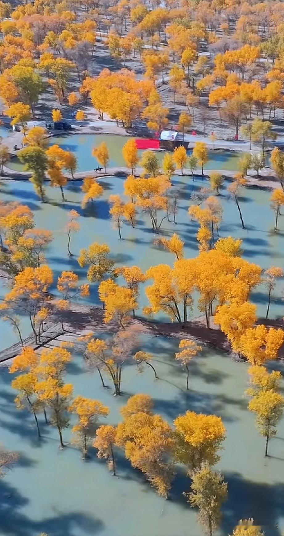 新疆的美，美的美轮美奂，美的粗犷豪放，美的让人陶醉，画面中的这一处景色，就是新疆