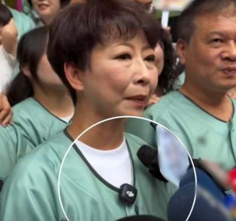 台南市长参选人陈亭妃衣领夹大疆麦克风拉选票，网友“抗中是工作，亲中是生活”，青鸟