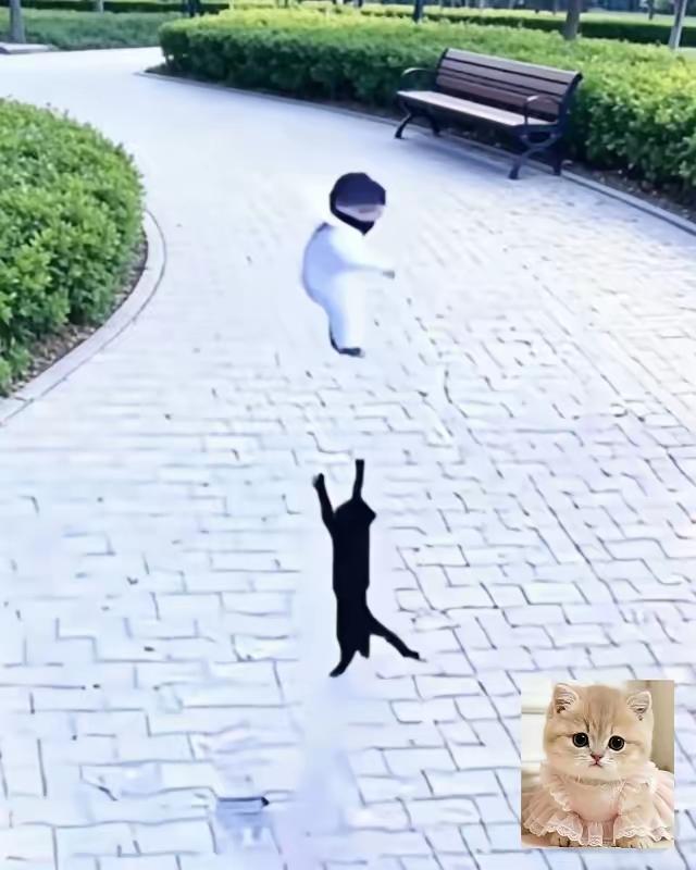 3楼孩童失足坠楼，流浪猫舍身相救，父母抱着孩子四处寻猫道谢
谁能想到，常年遭人驱