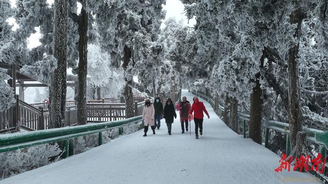 衡山|活色生香过大年丨南岳：初一迎瑞雪 登高庆新年