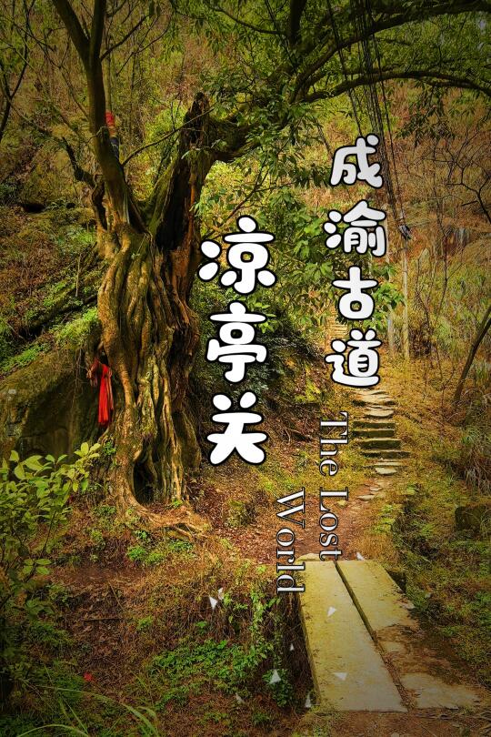 【成渝古道-2：凉亭关】