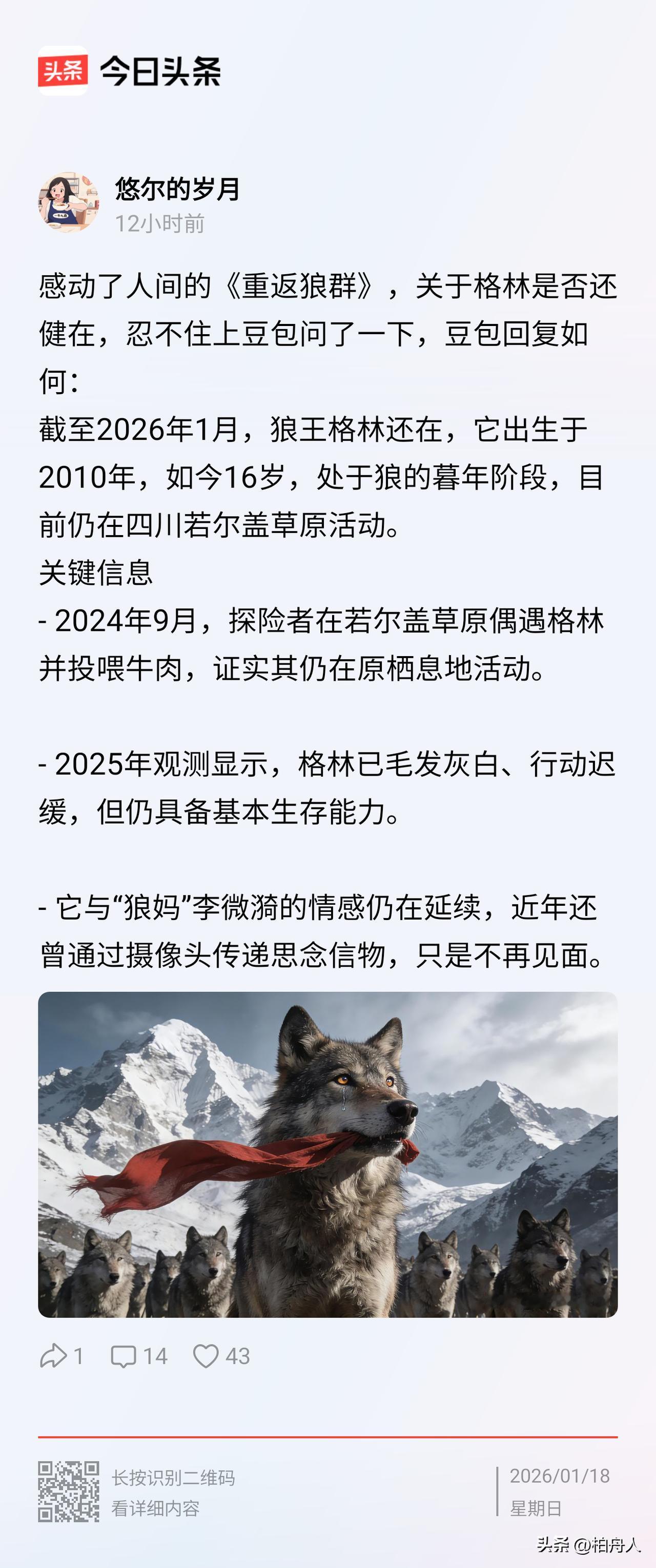 我认为除了狼妈其他人根本不可能认识现在哪个狼是格林，所以那些2020年后还说见过