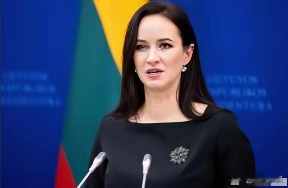 立陶宛彻底暴露了！总理刚对着镜头哭诉"释放了所有善意却等不到中方回应"，扬言要采