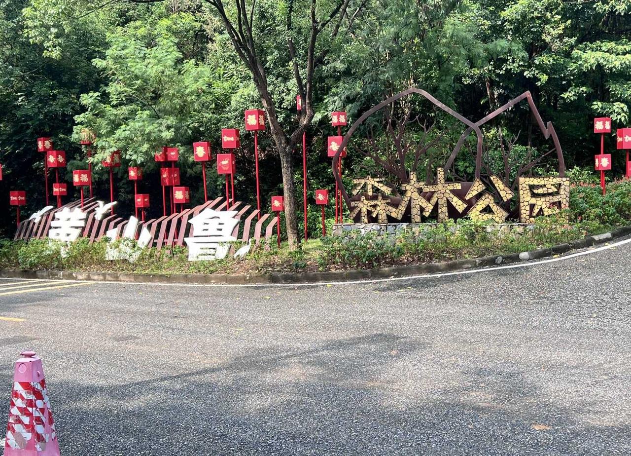 南沙黄山鲁
这么多天今天是最凉快的一天；
运气很好，上到山顶亭子歇息时才下雨；