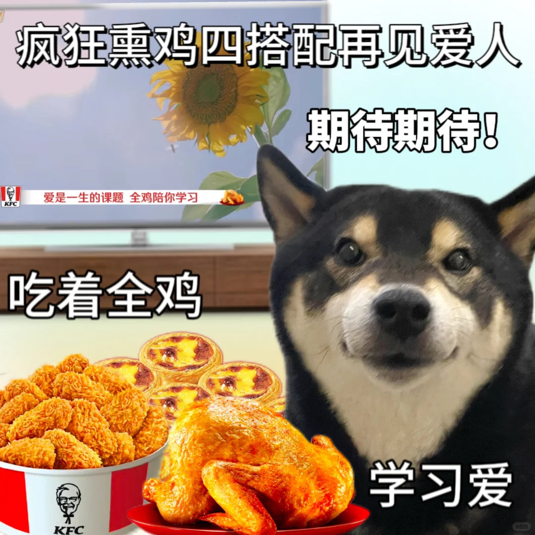 麦学的精髓谁懂