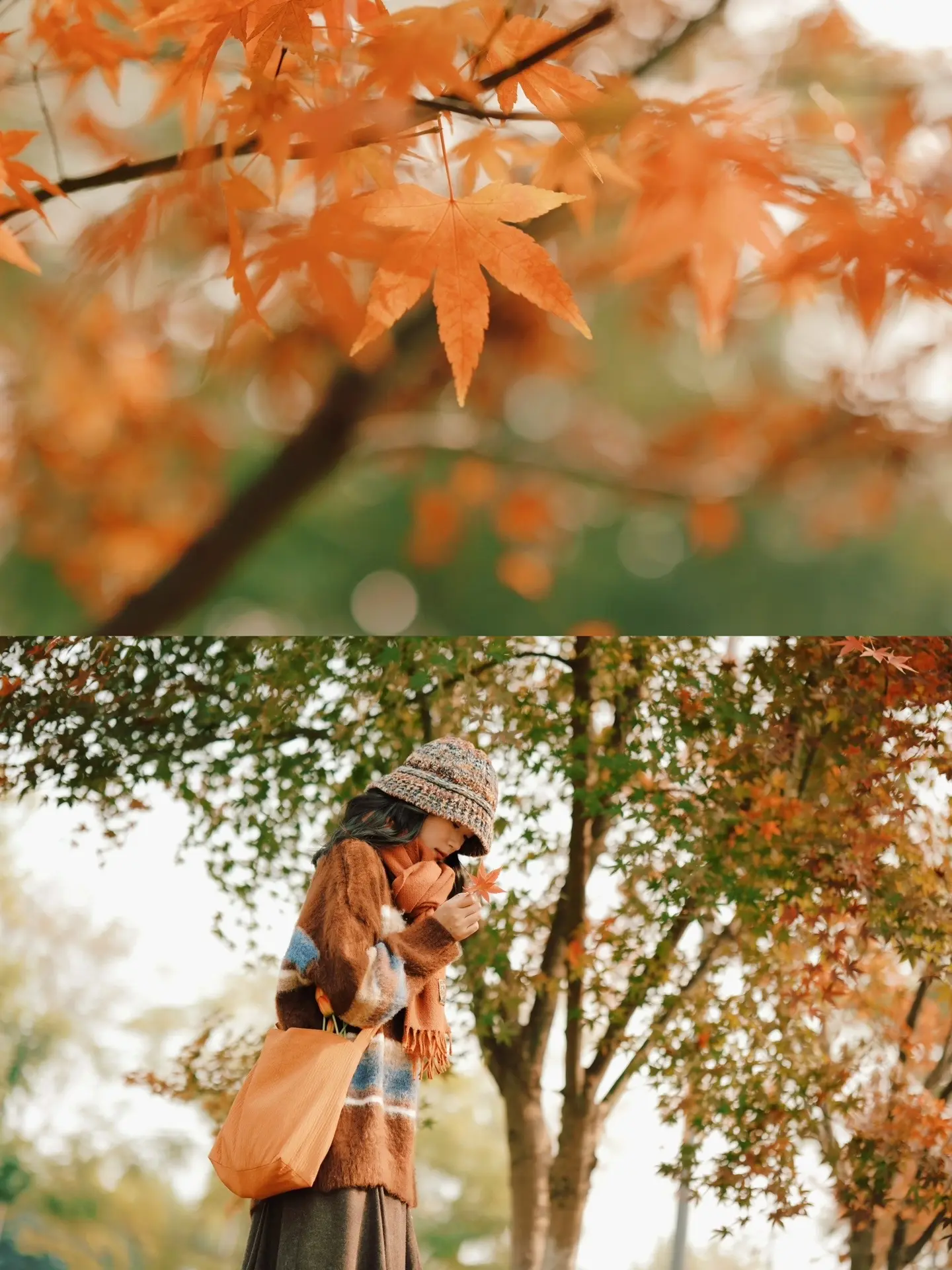 专属秋天的浪漫｜🍁拍出文艺电影感。去年不喜欢的一组 再翻开的时候，满...