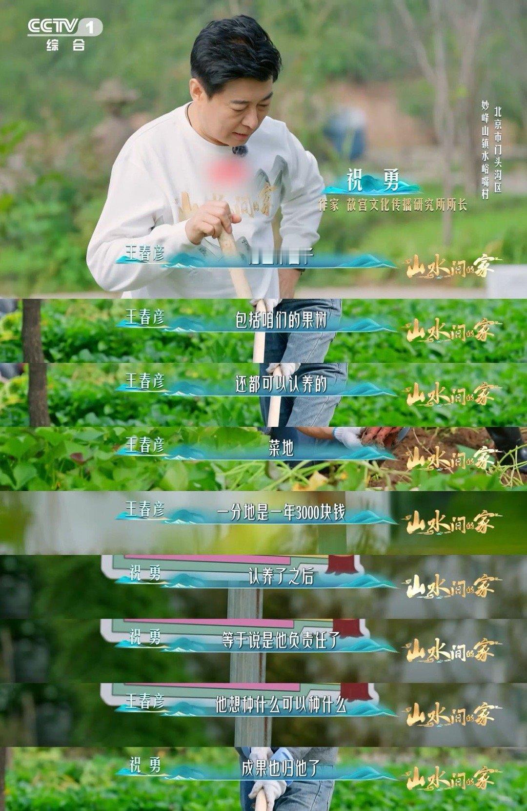 挖红薯就是早期开盲盒 被红薯的繁殖能力惊到了！一根藤200多个，从土里刨出惊喜的