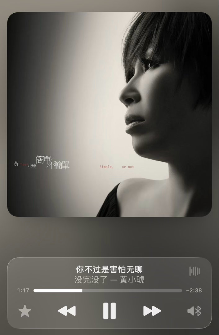 想听七旬老太齐豫在歌手上唱黄小琥这首舞曲，我觉得好适合她 