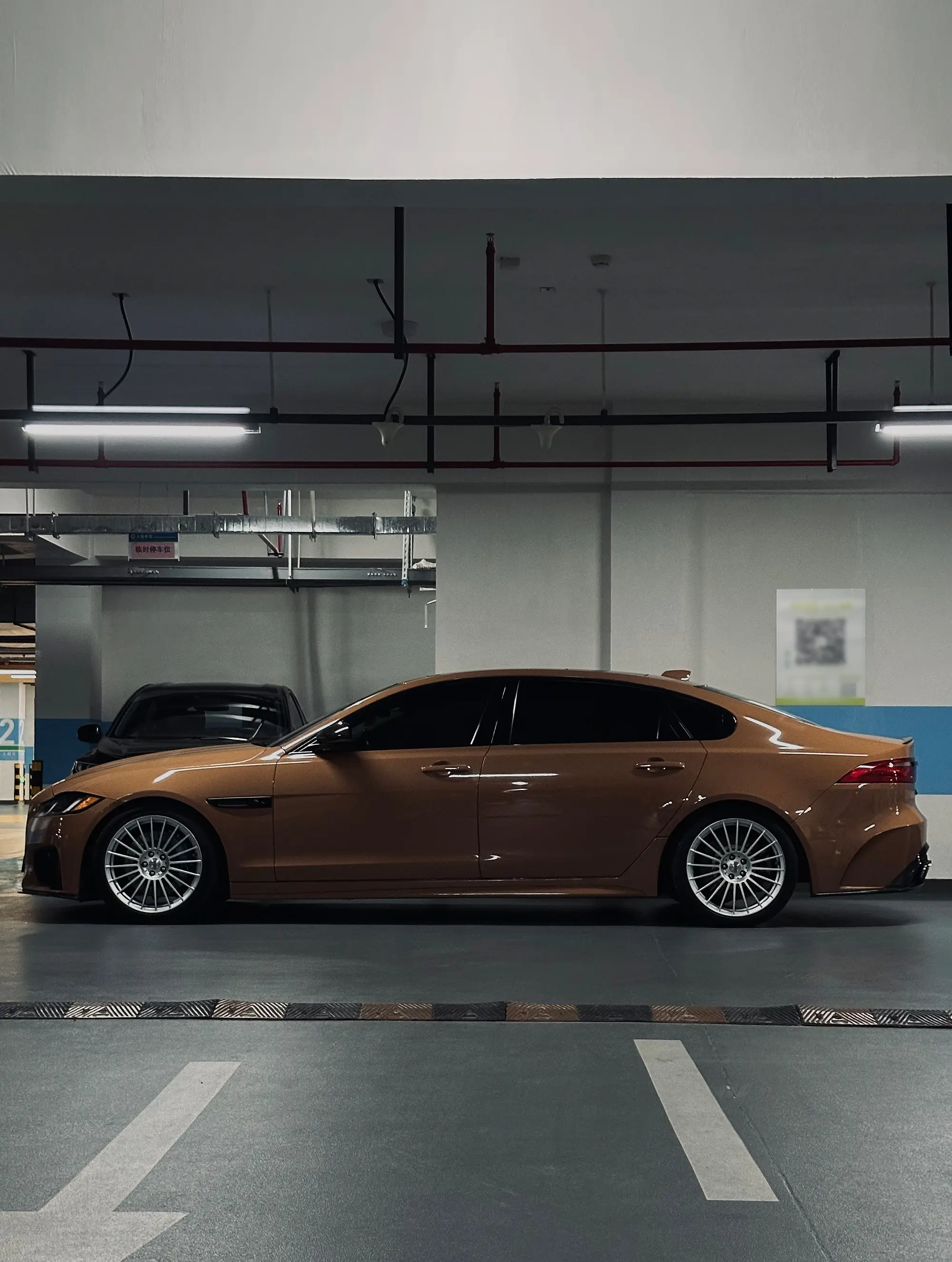 Chocolate Jaguar XF.