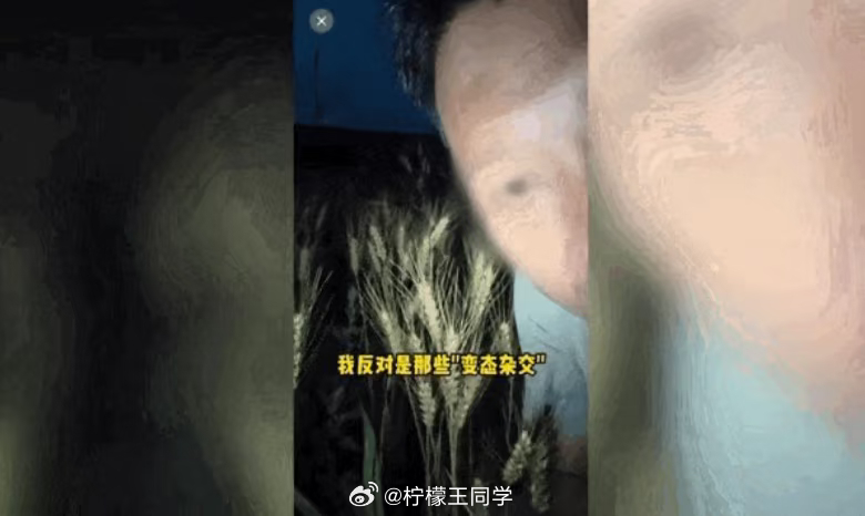 200万粉网红诋毁袁隆平水稻育种技术今夕是何年？竟然还有人诋毁袁老的水稻育种技术