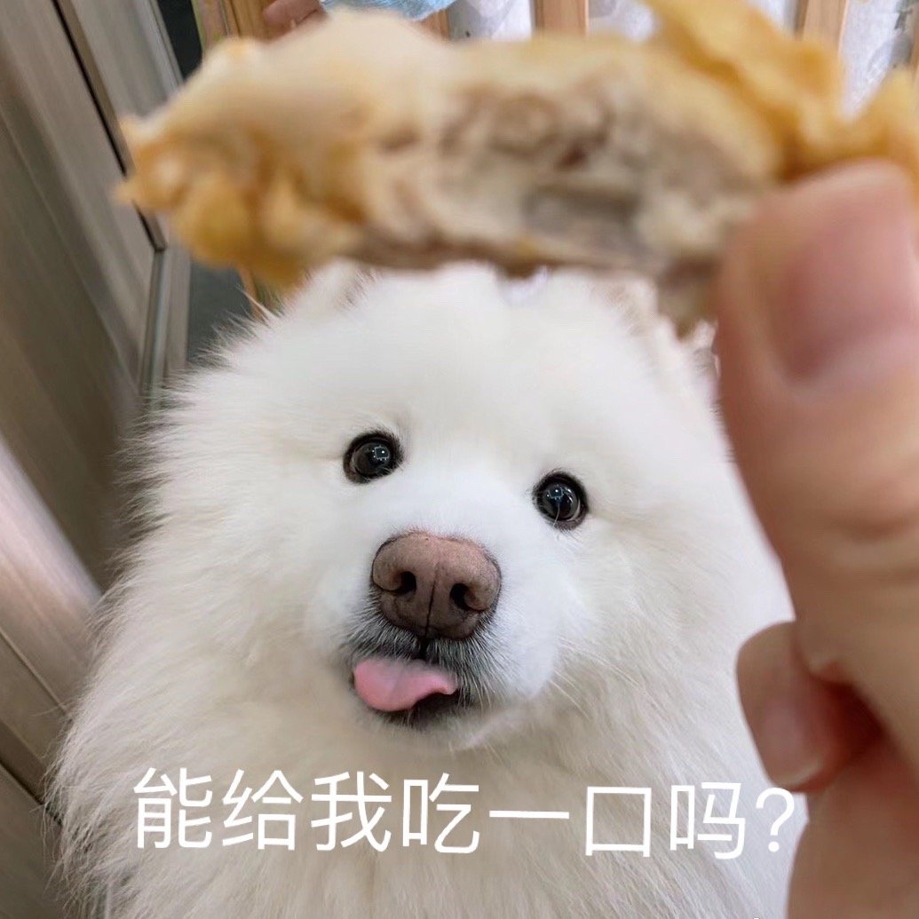 今日份表情包✔️ ​​​