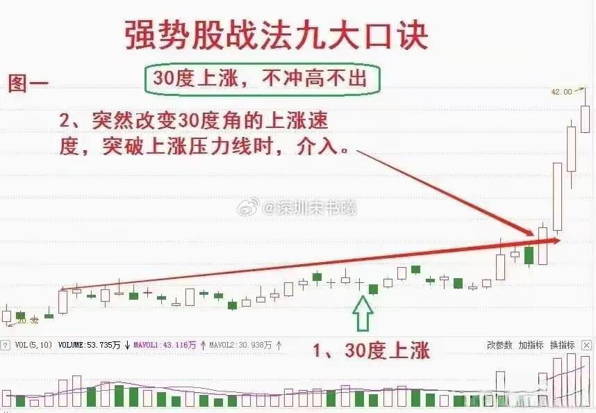 在股市中，我只专注于强势股，其他股票一概不看。炒股15年， 从最在股市中，我只专