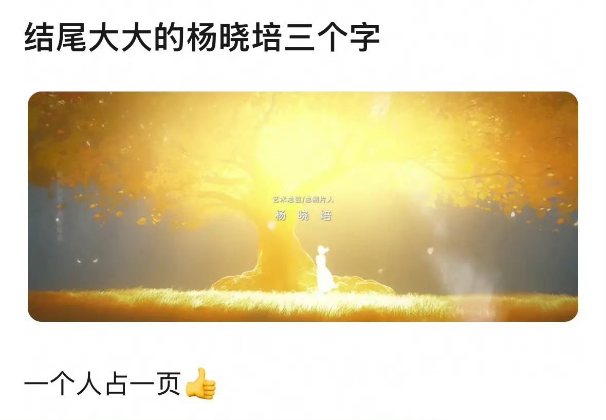 艺术总监杨晓培，也就是服化道那些都是她的审美喽 