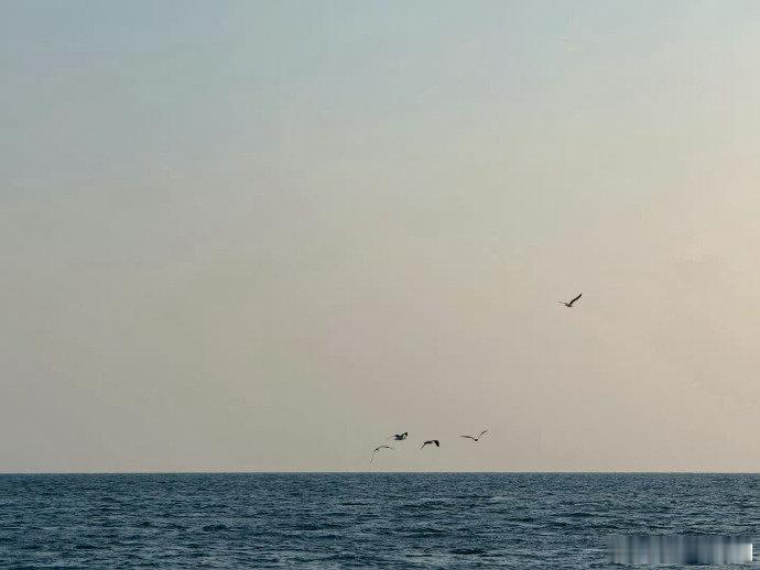 胡一天出海追海豚还是有点晕胡一天晕船了 追海豚的浪漫遇上晕船的迷糊，胡一天这鲜活