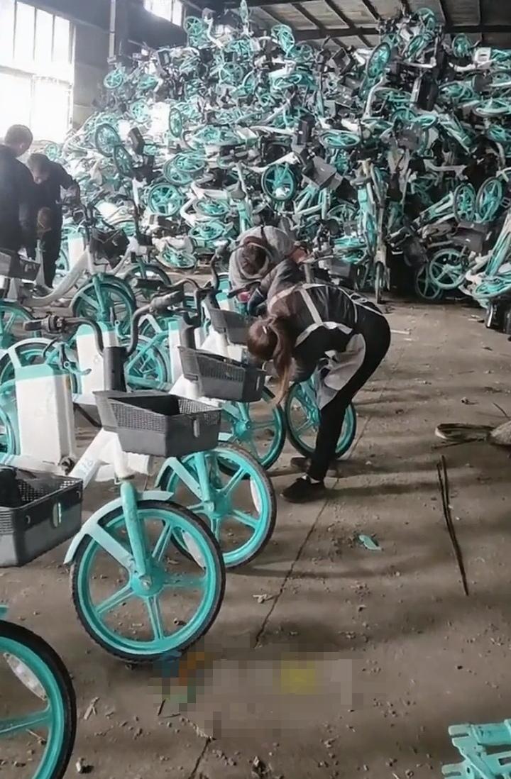 偷共享单车偷出千万案？11人偷万辆，收赃的倒欠20万，最后全进去了
 
连云港民