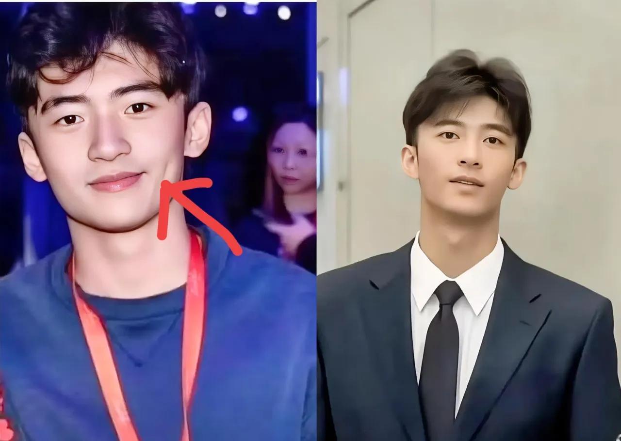 谢霆锋和张柏芝的两个儿子颜值也太逆天了吧。还有一个小酒窝很可爱，一个很活泼一个文