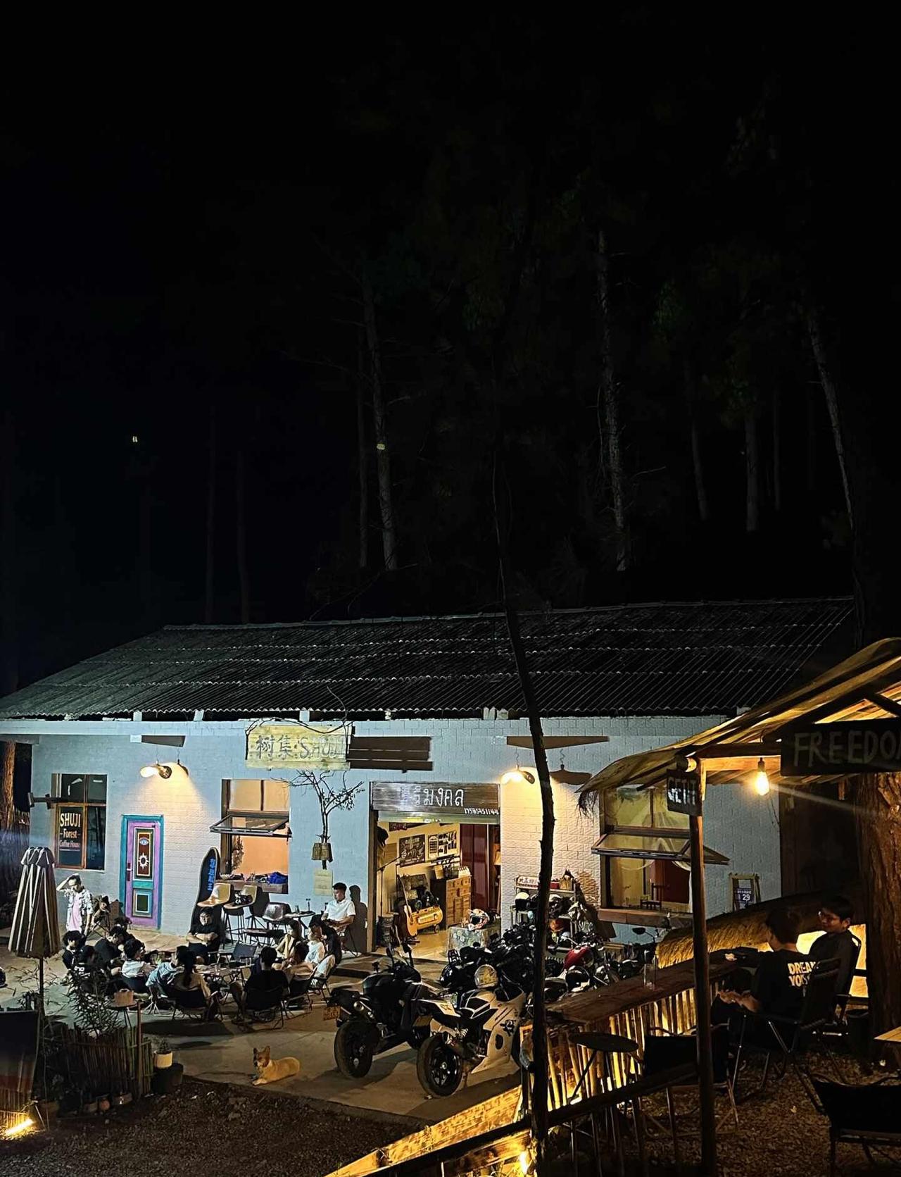 谁能想到山里居然还有这么温馨的咖啡店
机车跑山 骑车去跑山 山野主理人 树集 咖