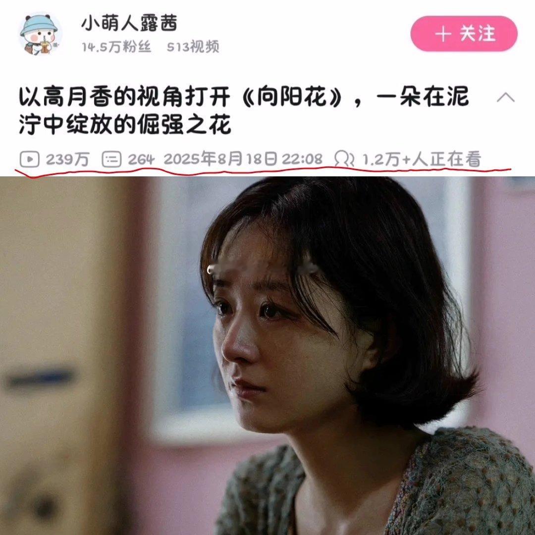 赵丽颖《向阳花》口碑持续发酵，发布两天收获两百万播放量的视频，且b站还有1.2w