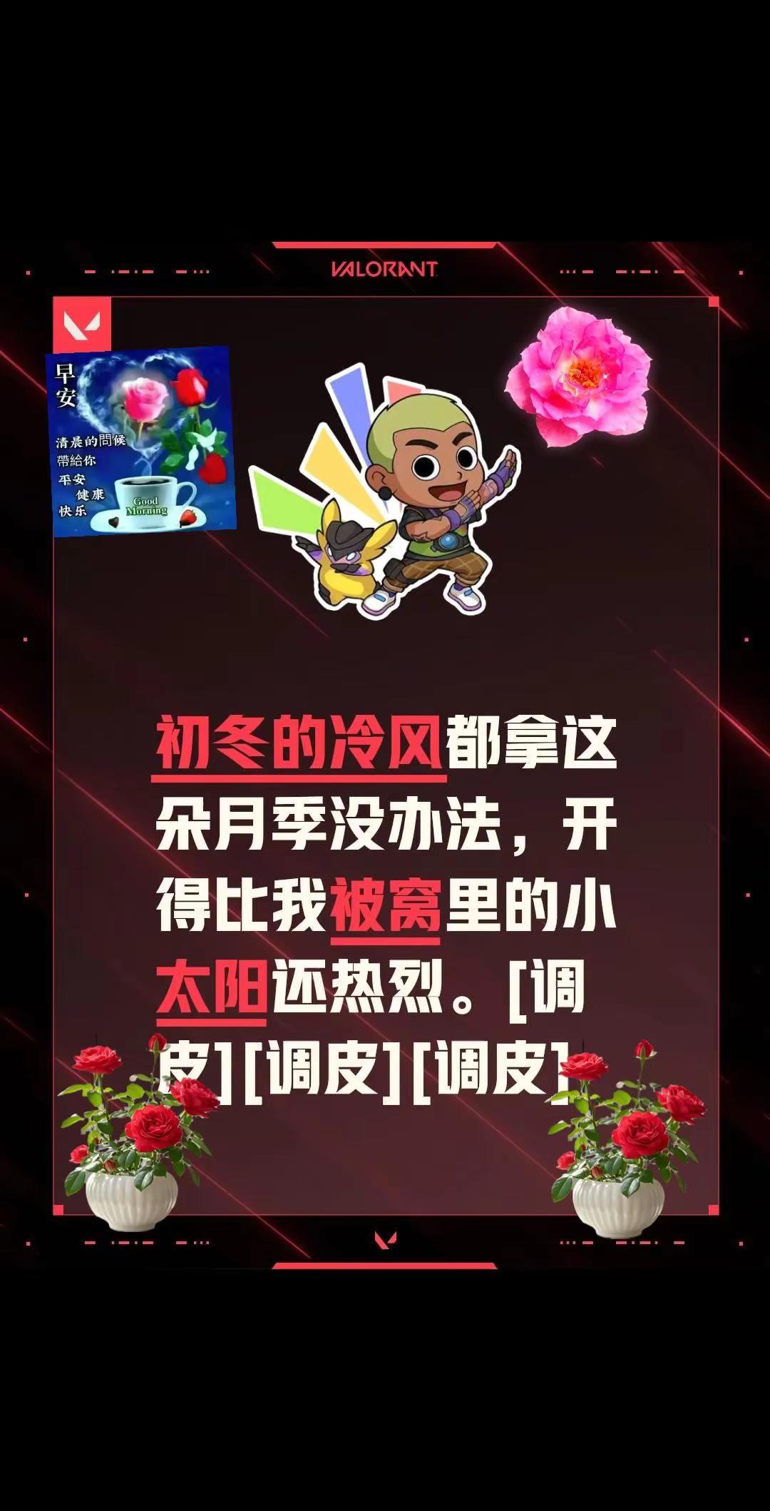 我评论了@往事 的作品：初冬的冷风都拿这朵月季没办法，开得比我被窝里的小太阳还热