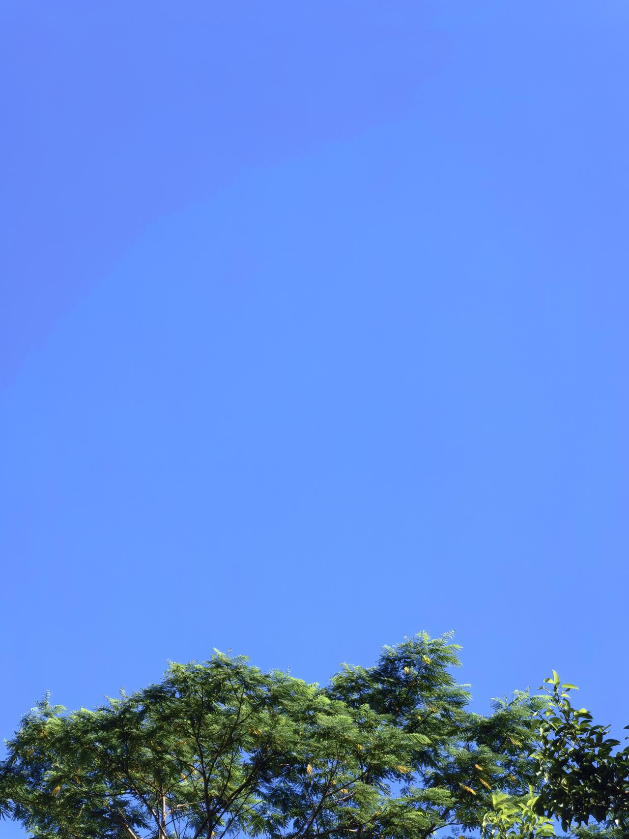 分享一下你随手拍下的照片