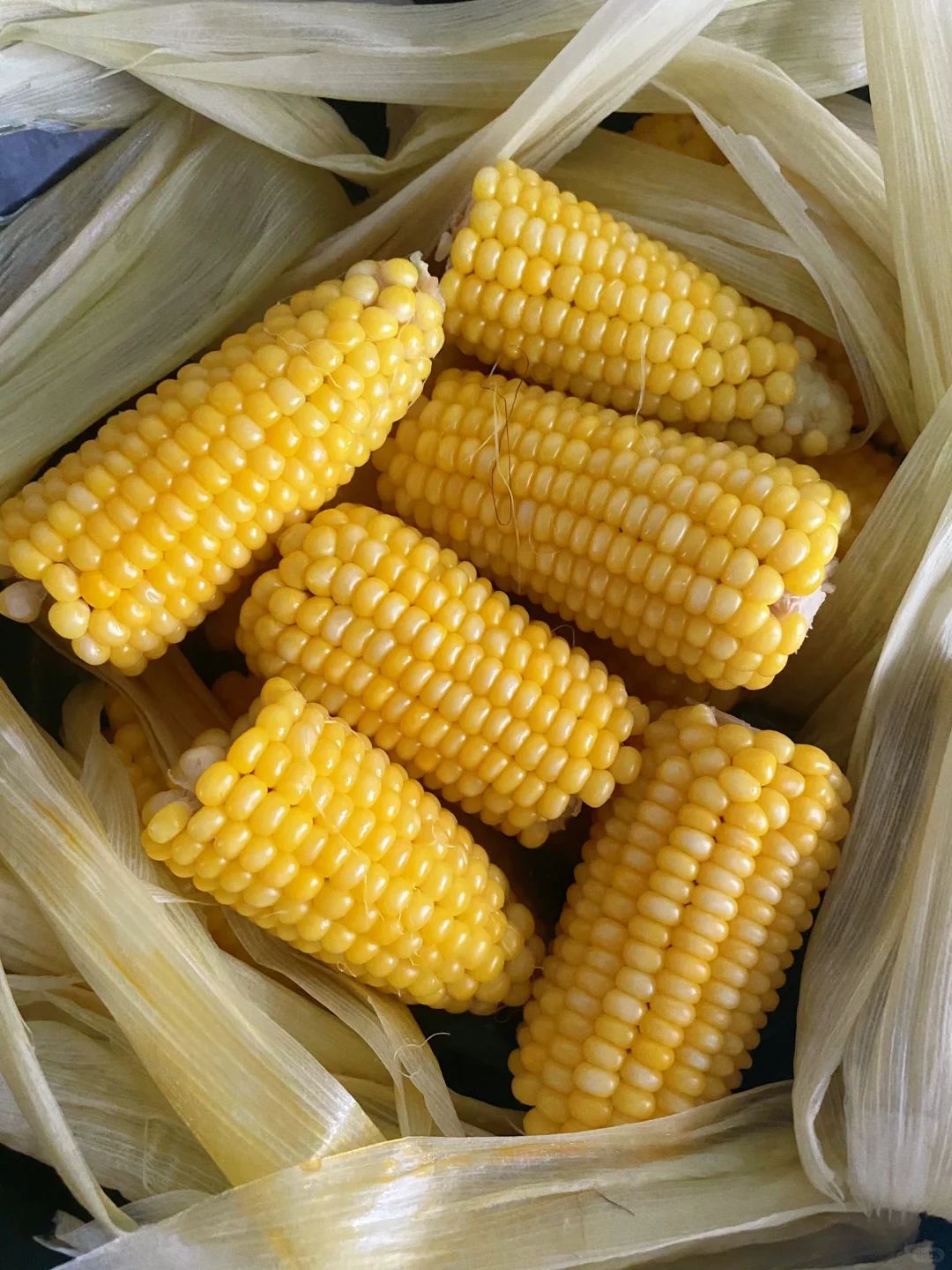 又到了啃玉米🌽的季节😋