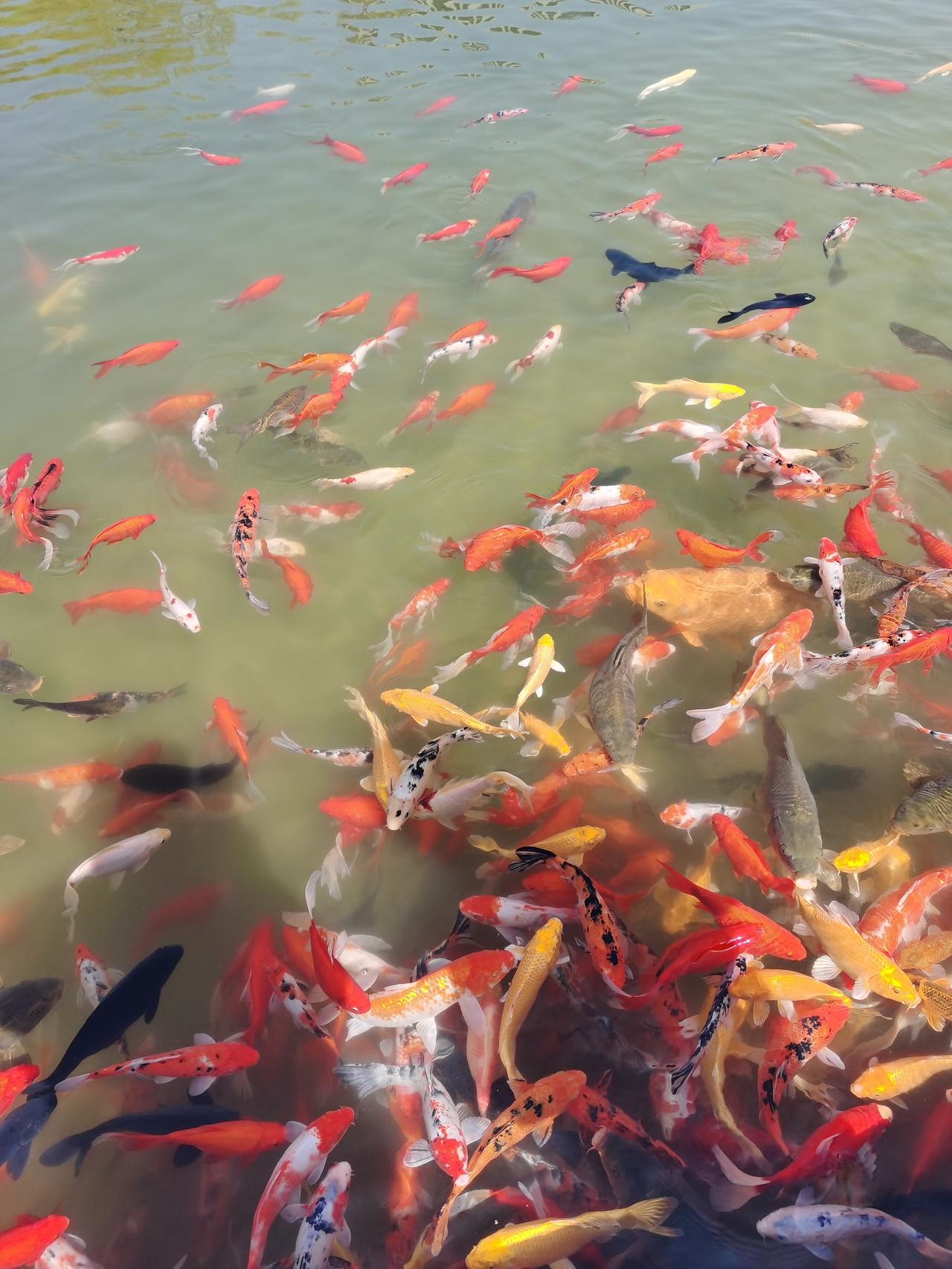 锚定与切换
在交易市场中，有两个方法论，需要思考。这就是锚定与切换，为什么需要锚