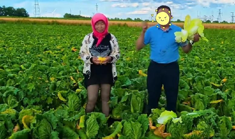 种菜的没罪、吃菜的没罪、事不出在中间，作为村支书，敢于现场吃那地里白菜，真是好。