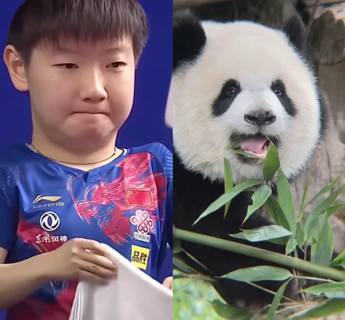 像吗？哈哈哈哈～