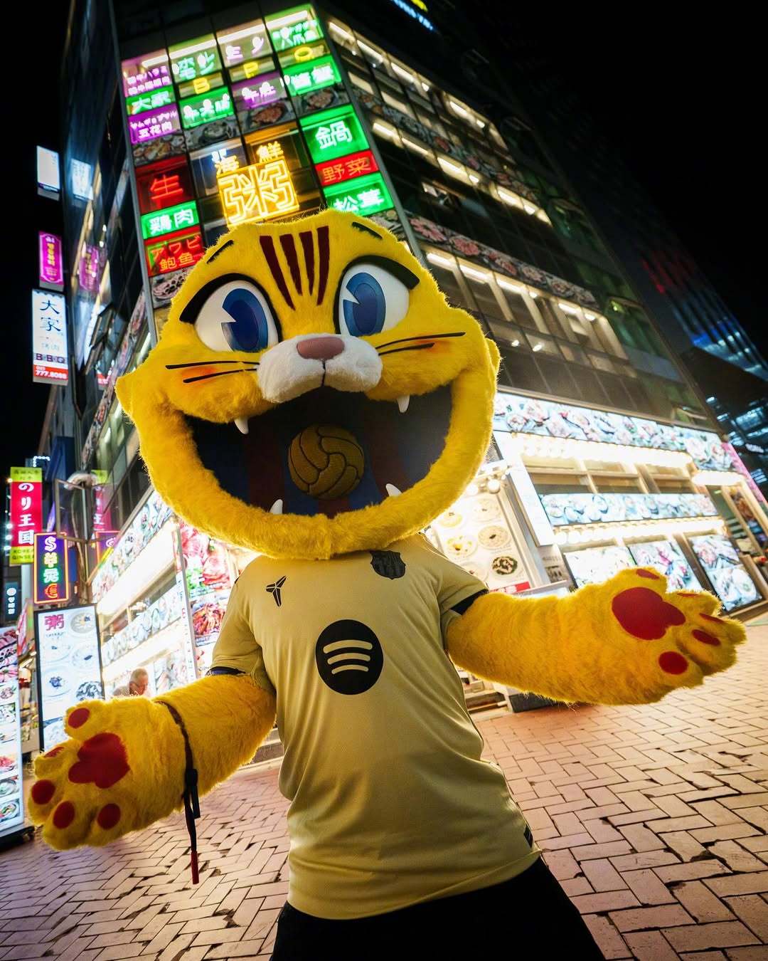 😺来首尔就是要穿新衣服！咪咪上身巴萨25/26赛季全新客场球衣🆕💛尺寸风格