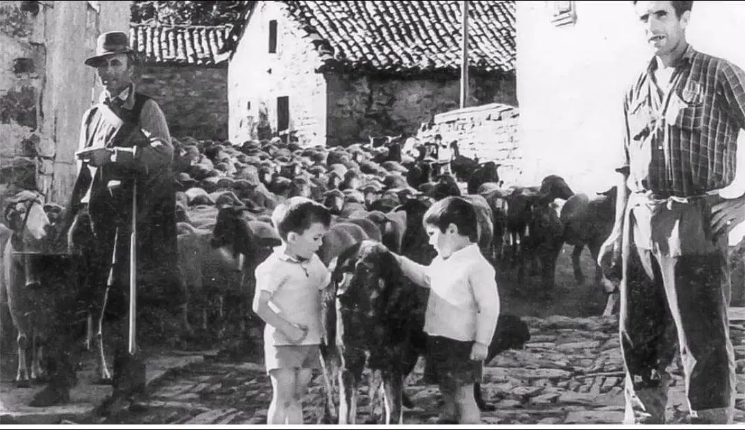 索里亚最后的牧羊人。西班牙中北部